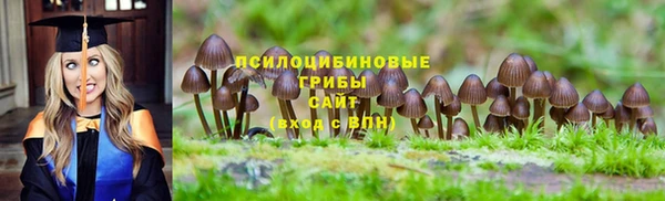 mdpv Магадан