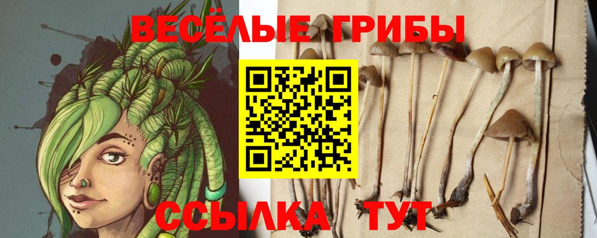 Кызыл  Псилоцибиновые грибы ЛСД  где найти наркотики  Вход с VPN 