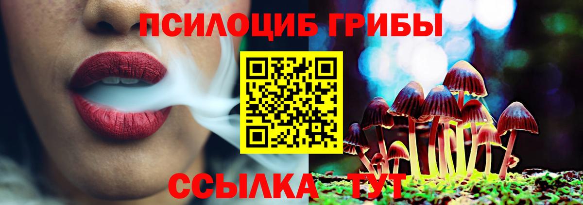 Галлюциногенные грибы Psilocybe Кызыл